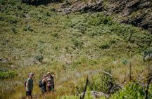 E-bike & hike Jonkershoek nature reserve Adventure, Stellenbosch