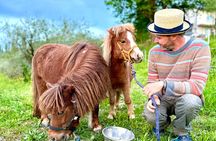 My Tuscan Farm - Wine, Pasta & Vineyard in One Day