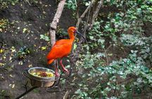 Black Island Tour, Neruda Museum and Tricao Park with Lunch