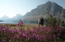 Hidden Gems | Icefields Parkway Up To Athabasca Glacier 