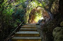  Blue Lagoon Cruise, Aphrodite's Baths & Sea Caves from Paphos