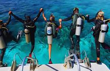 Dolphin House with Intro Dive and Snorkeling from Hurghada