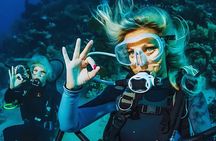 Dolphin House with Intro Dive and Snorkeling from Hurghada