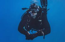 Dolphin House with Intro Dive and Snorkeling from Hurghada