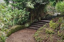 A Unique Belfast Walking Experience