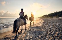 Pura Vida in Papagayo - WRCT Adventures Private Horseback Ride 