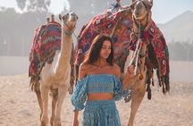 7 Days Pyramids of Giza and Nile Cruise