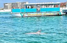 Morning Snorkel & Dolphin Adventure