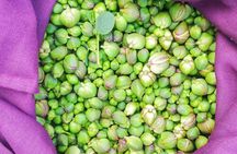 Exclusive Tour in Salina: Half Day of Local Flavors and Wines