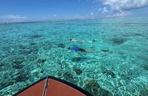 Half day Eco Snorkeling small group Tour in Bora Bora 