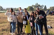 Hot Air Balloon Ride in Teotihuacan from Mexico City