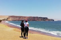 From Ica to Huacachina: Ballestas Islands and National Reserve