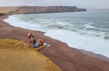 From Ica to Huacachina: Ballestas Islands and National Reserve