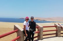 From Ica to Huacachina: Ballestas Islands and National Reserve