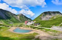 From Takayama Mt. Norikura Alpine Flowers and Panoramic Peaks