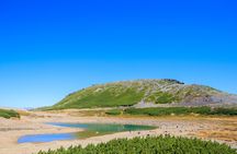 From Takayama Mt. Norikura Alpine Flowers and Panoramic Peaks