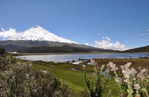 Andean Adventure : Riding and Cotopaxi Refuge