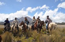 Andean Adventure : Riding and Cotopaxi Refuge