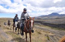 Andean Adventure : Riding and Cotopaxi Refuge
