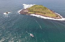 Snorkeling with Turtles at Cook Island Aquatic Reserve