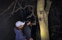 Okinawa Miyako Starry Sky Jungle Exploration Tour