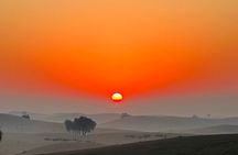 Abu Dhabi: Camel Trekking with Sunrise Desert Views