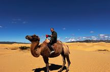 From Ulaanbaatar Central Mongolia Guided 3 Day Tour