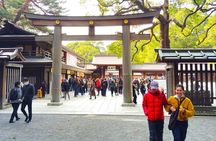 Tokyo: Meiji Jingu Shrine & Inner Garden Private Tour (2h)