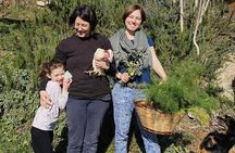 Garden Tour and Authentic Italian Pasta Making Class in Tuscany