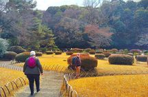 Tokyo: Meiji Jingu Shrine & Inner Garden Private Tour (2h)