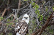 Full Day Safari Tour - Yala National Park (4.30am-6.30pm) 