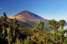 Tenerife : Jet Ski Tour with option for Quad Trip