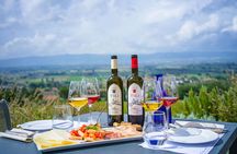 Farm to Table Light Lunch and Wine Tasting in Assisi Countryside