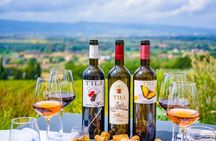 Farm to Table Light Lunch and Wine Tasting in Assisi Countryside