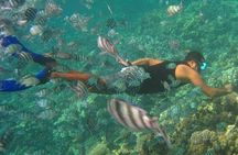 Nha Trang Snorkeling Fishing BBQ and Mini Beach Relaxation Tour