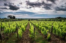 From the Port Tuscany Full Day Guided Trip with Wine Tasting