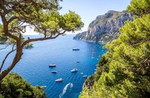 Capri by Land and Sea Group Tour from Salerno, Amalfi & Positano