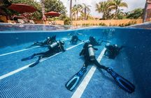 Scuba Diving in Playa del Carmen or Tulum