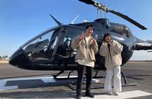 【15mins-4pax】Tokyo Bay Coastal/Tokyo Skytree and Tokyo Station