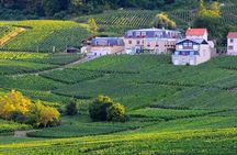 Epernay South Half Day Visit and Champagne Tastings