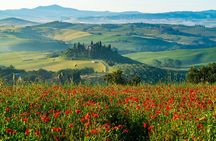 Rome: Tuscany & Montepulciano Day Trip with Lunch & Wine Tasting