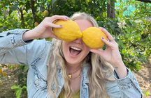 Sorrento Lemon Tour & Limoncello Tasting