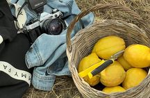 Sorrento Lemon Tour & Limoncello Tasting