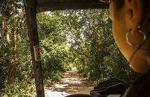 Small-Group Jungle Buggy Ride and Cenote Tour in Playa del Carmen