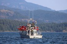 Kayaking with Whales and Wildlife