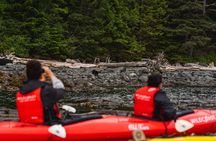 Kayaking with Whales and Wildlife