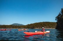 From Campbell River: Kayaking and Whale Watching Combination Tour