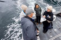 Covered Boat Whale Watching 6-Hour Tour from Campbell River