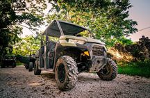 Small-Group Jungle Buggy Ride and Cenote Tour in Playa del Carmen