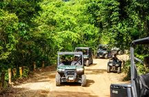 Side by side/rzr in the mountain, waterfull and tequila tasting